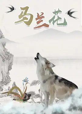 97视频白浆